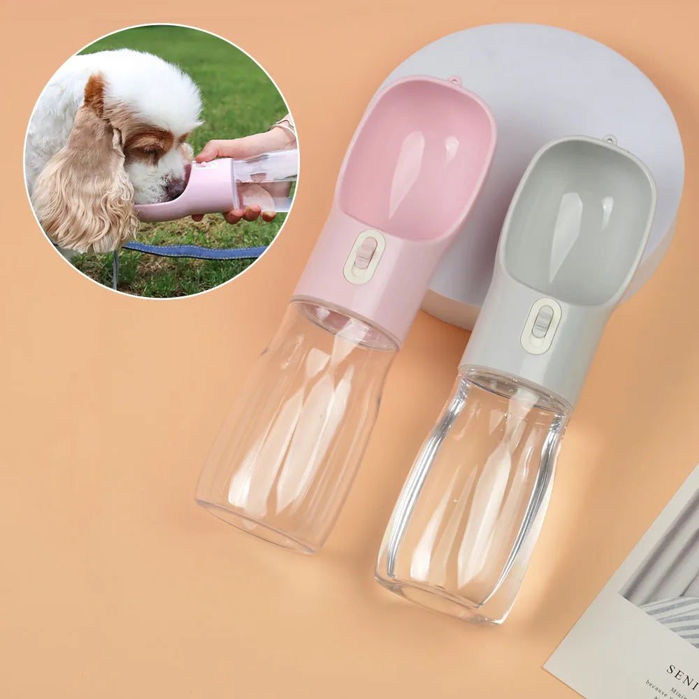 gourde chien hydratation