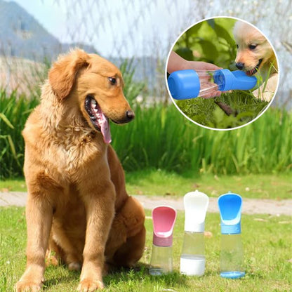 Gourde chien portable