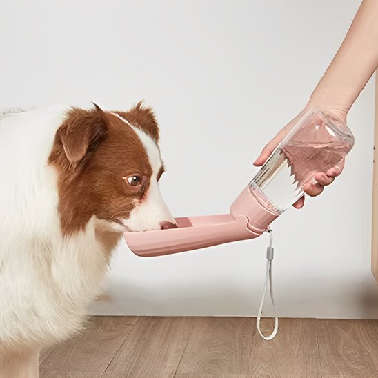 Gourde chien rose Portable étanche