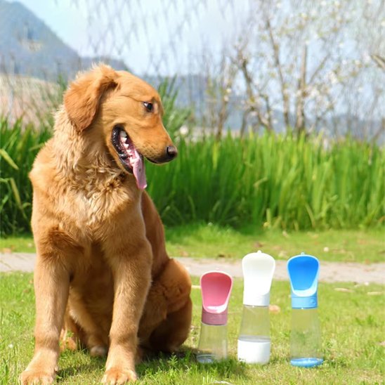 Gourde chien rose blanc bleu etanche