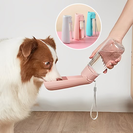 Gourde chien rose gris bleu