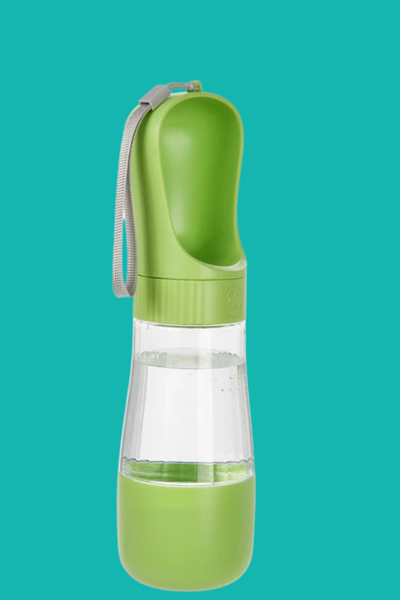 gourde chien vert