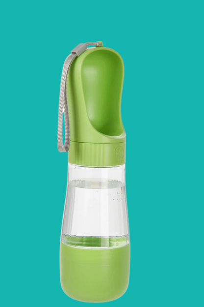 gourde chien vert