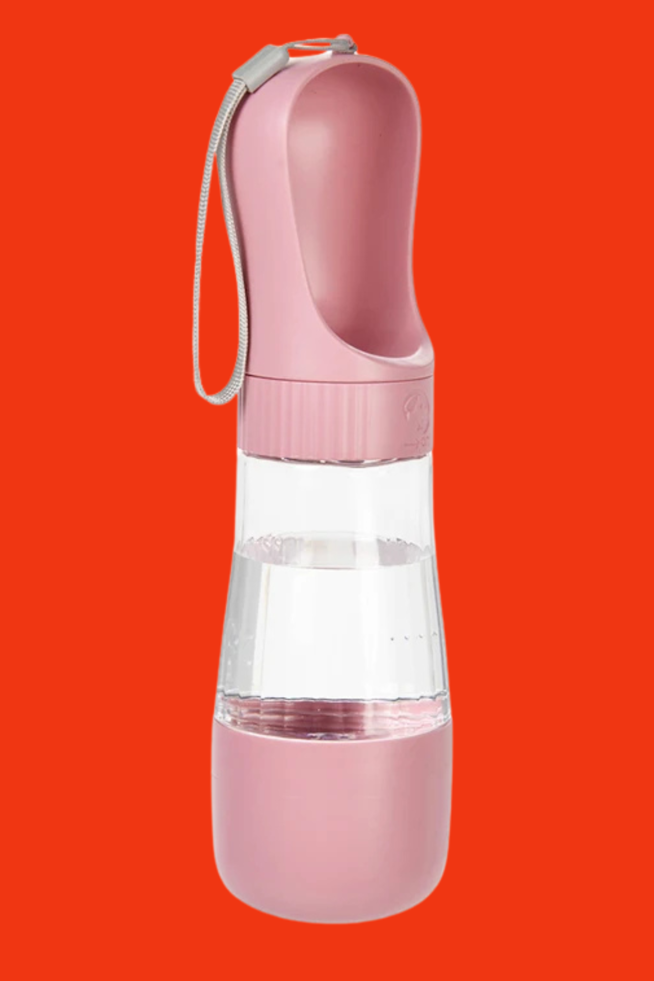 gourde rose chien