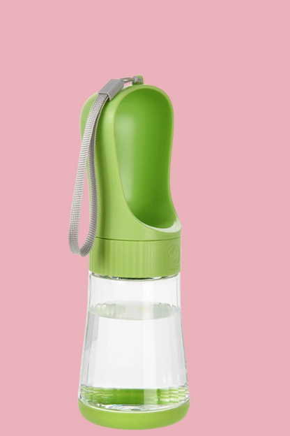 gourde vert chien