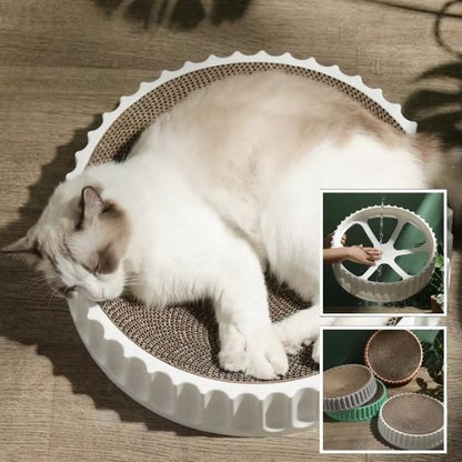 Griffoir chat confortable