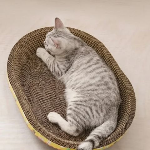 Griffoir en carton pour chat eco