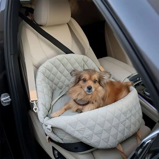 grissac de transport pour chien securite