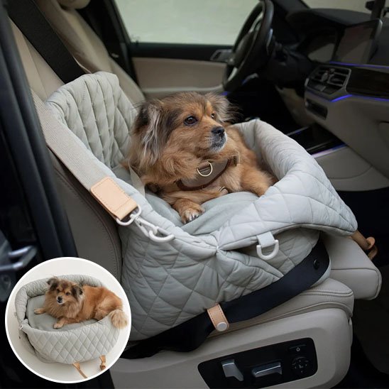 grise sac de transport pour chien 