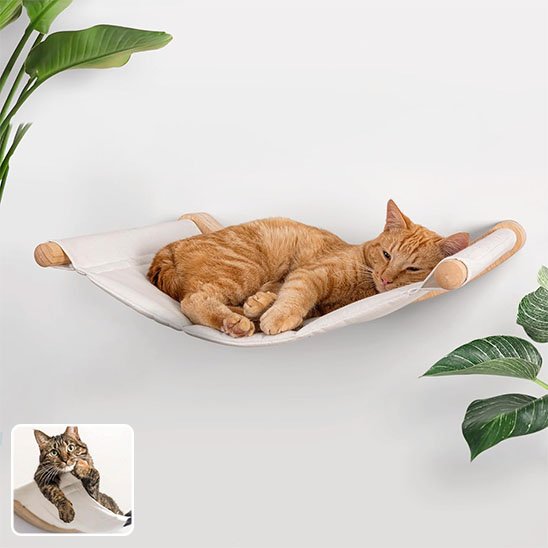 hamac dodo chat