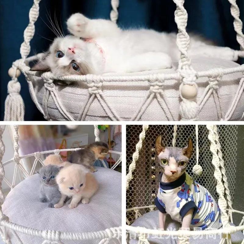 hamac pour chat chien