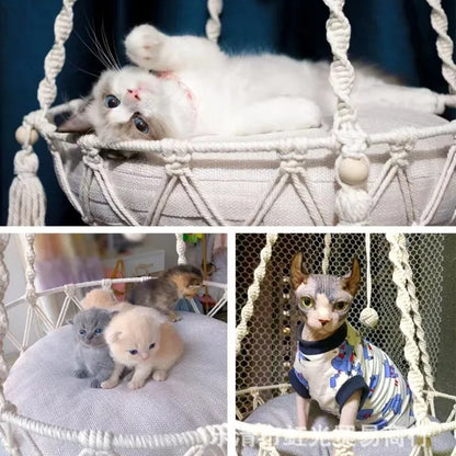 hamac pour chat chien