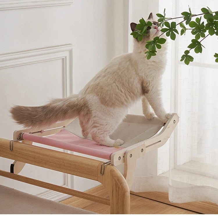hamac pour chat plante