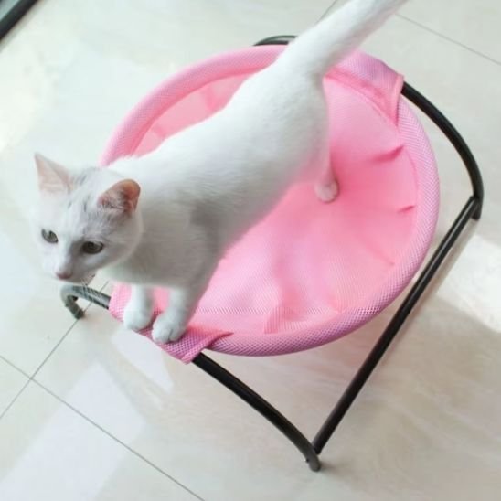 hamac pour rose chat