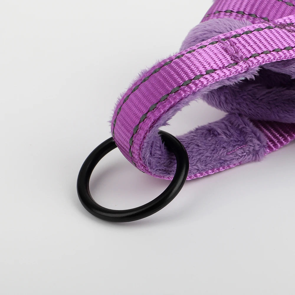 harnais chien anti traction anneau