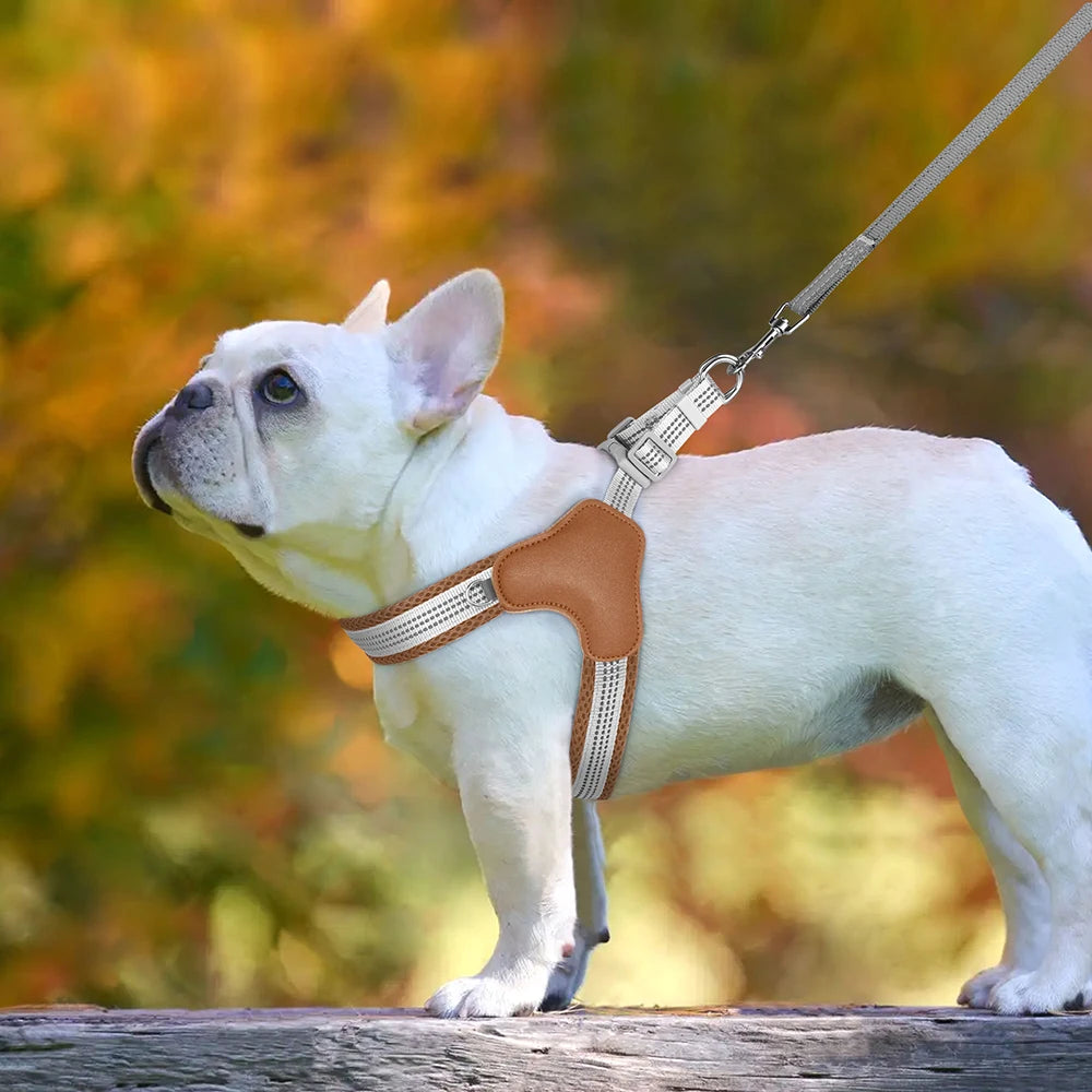 harnais chien anti traction brun