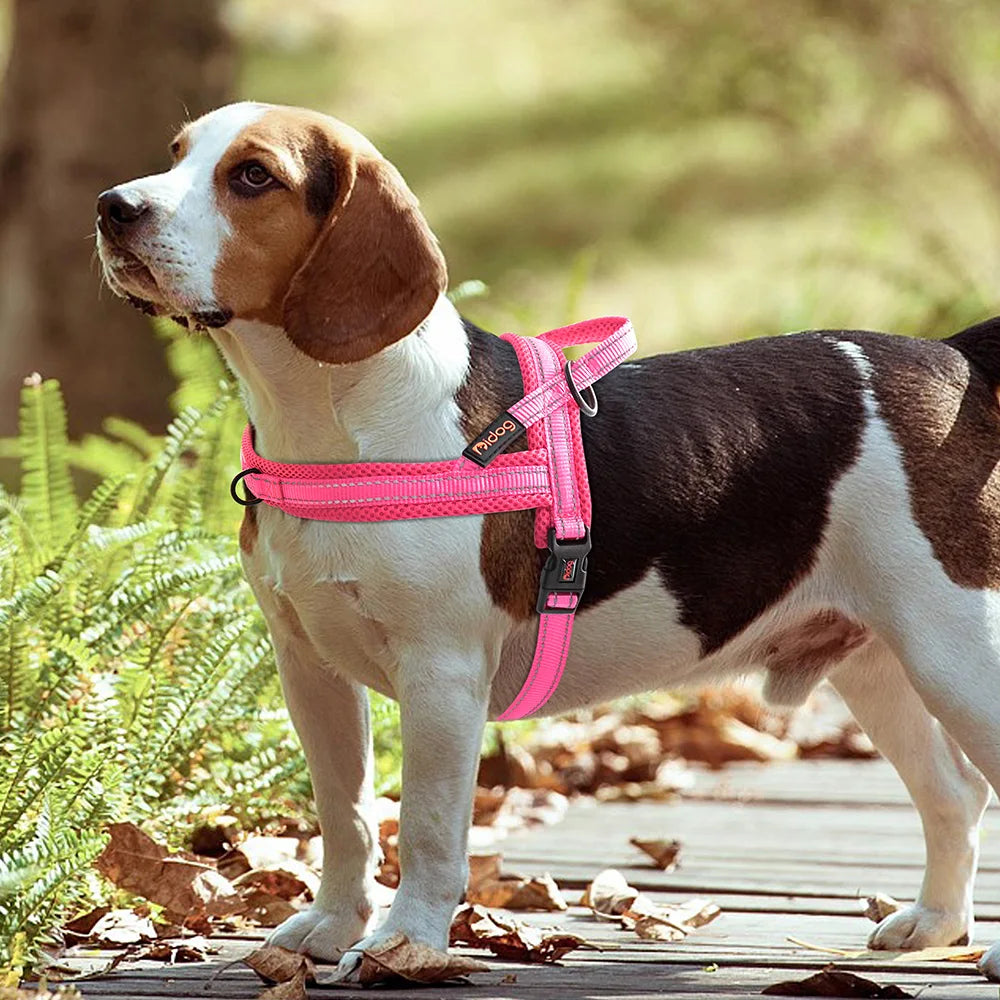 harnais chien anti traction foret