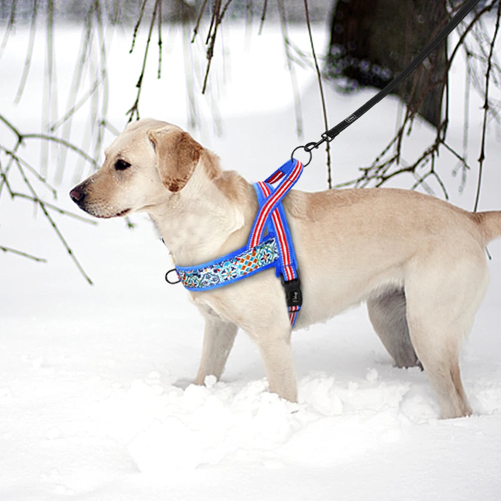 harnais chien anti traction neige