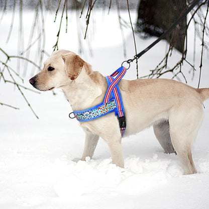 harnais chien anti traction neige