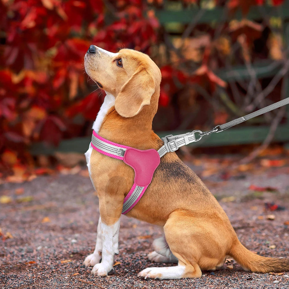 harnais chien anti traction rose