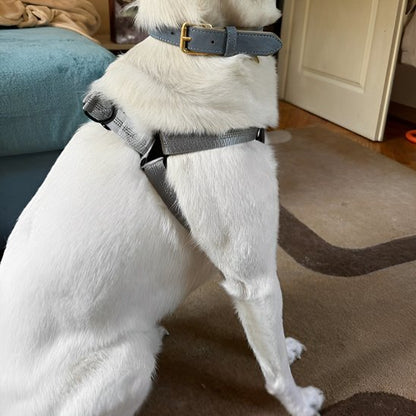 Harnais gris pour chien