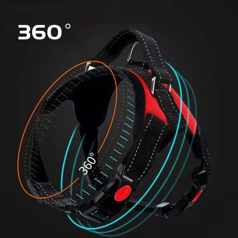 harnais pour chien 360