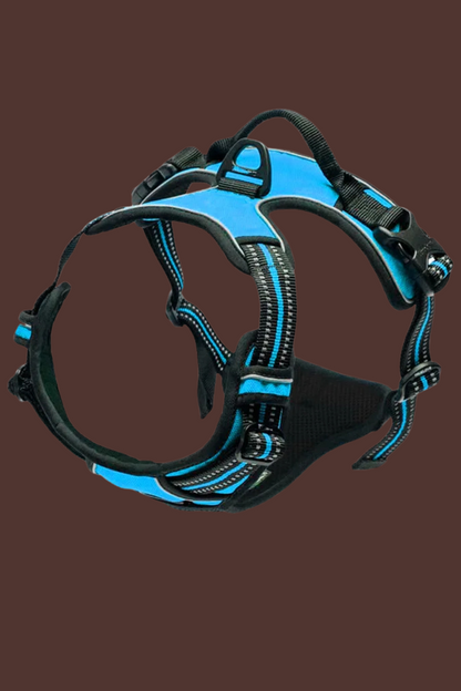 harnais pour chien bleu
