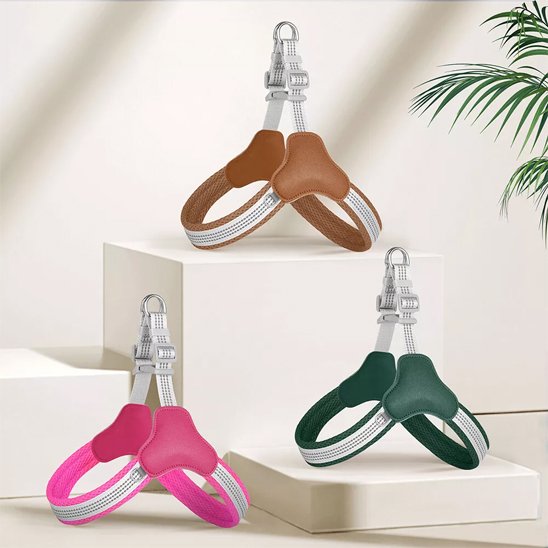 Harnais pour chien brun rose vert