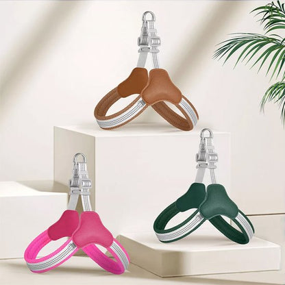 Harnais pour chien brun rose vert