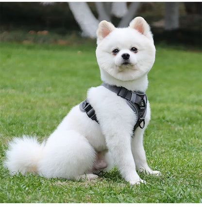 harnais pour chien gris