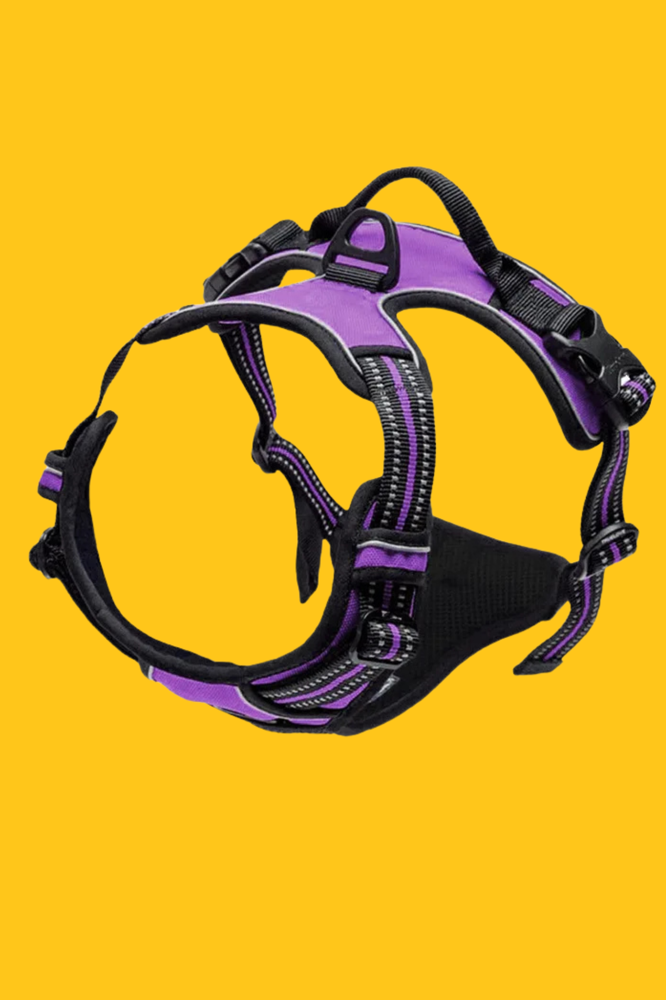 harnais pour chien mauve