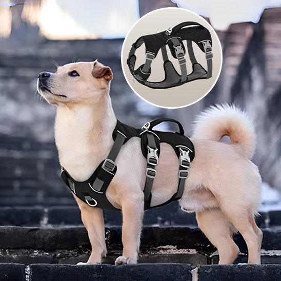 Harnais pour chien noir confort