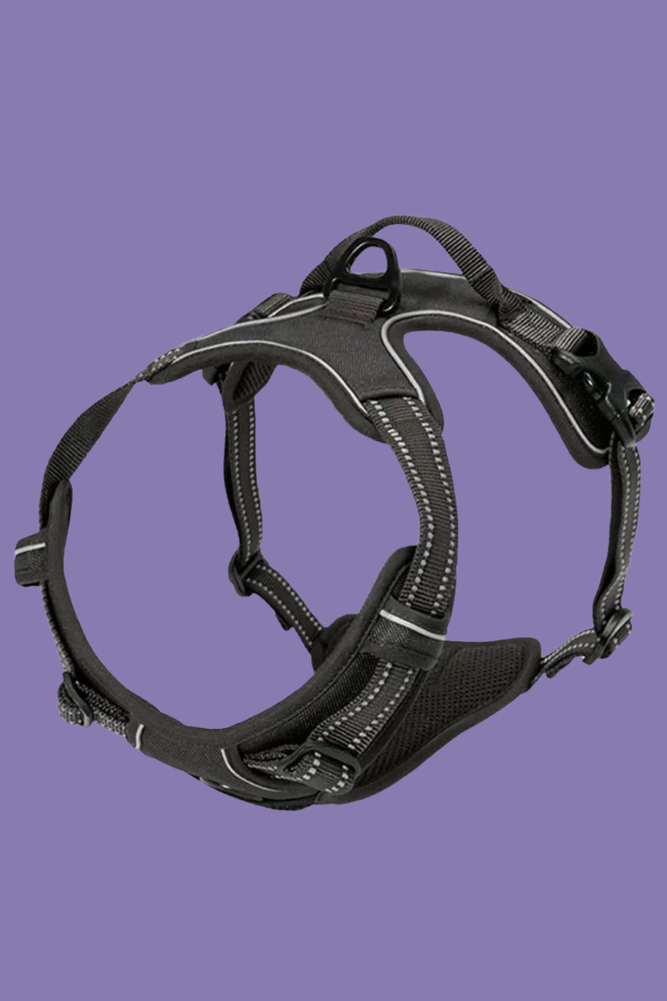 harnais pour chien noir