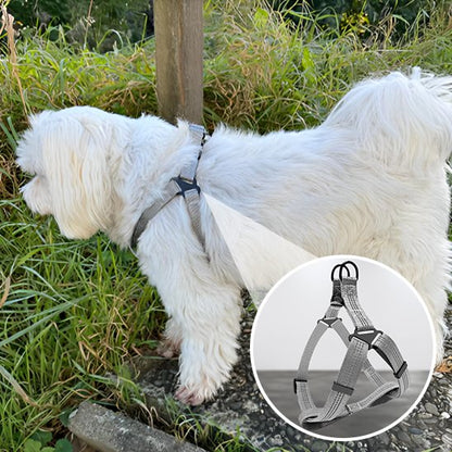 Harnais pour chien obtimal gris