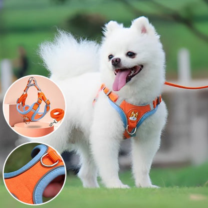 Harnais pour chien orange bleu