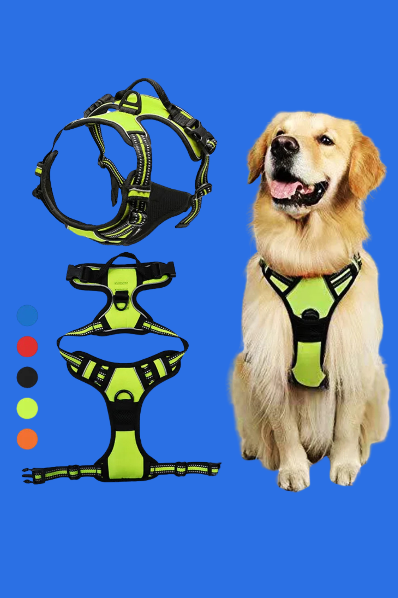 harnais pour chien orange noir rouge
