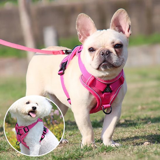 Harnais pour chien rose rose Confort Sécurisé
