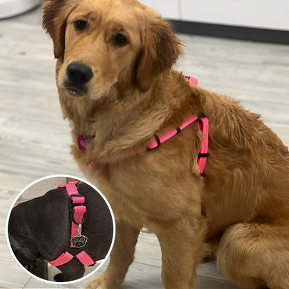 Harnais pour chien rose confort