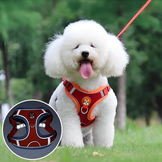 Harnais pour chien rouge orange