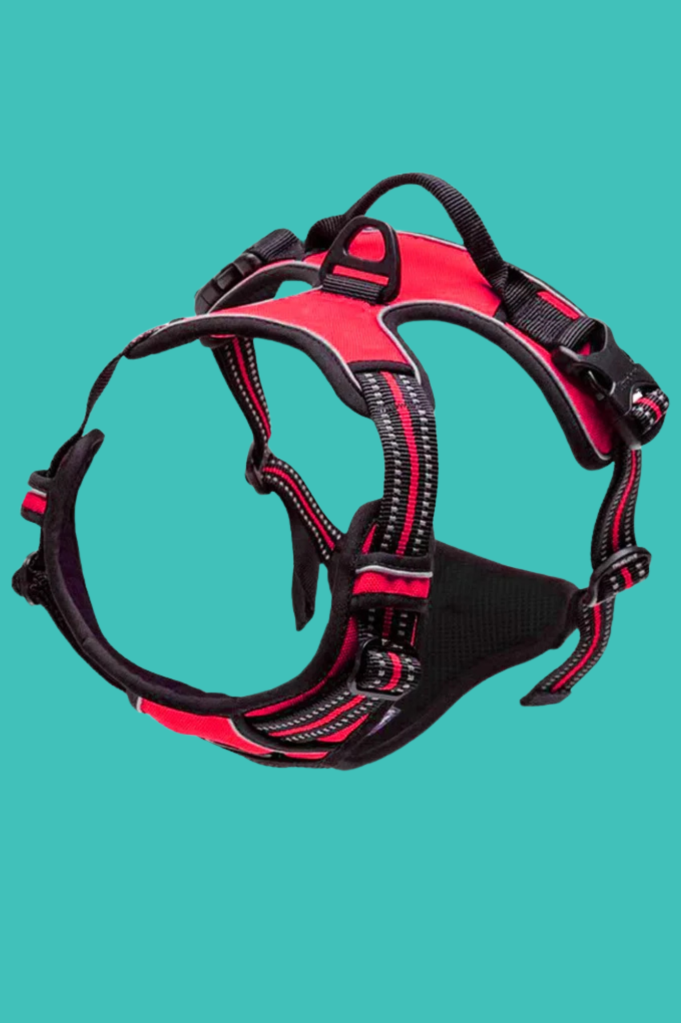 harnais pour chien rouge