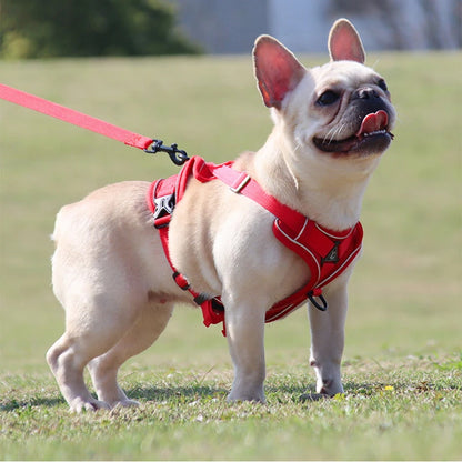 harnais pour chien rouge