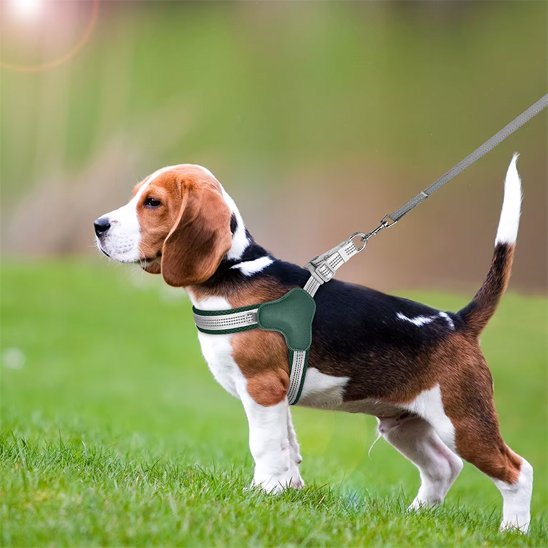 Harnais pour chien vert anti traction