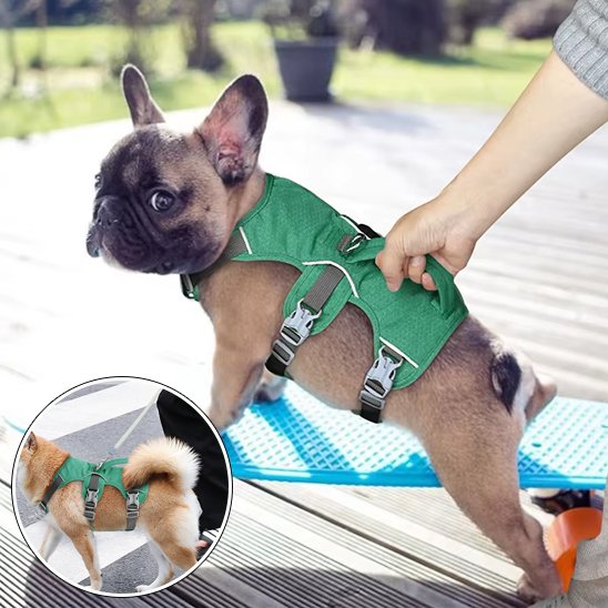 Harnais pour chien vert confort