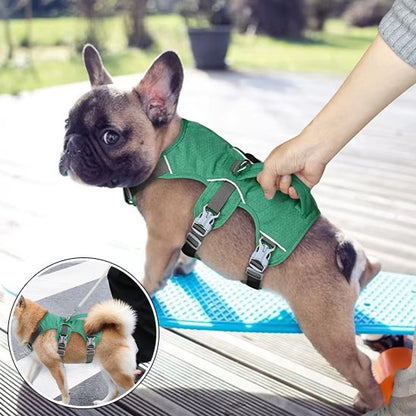 Harnais pour chien vert confort