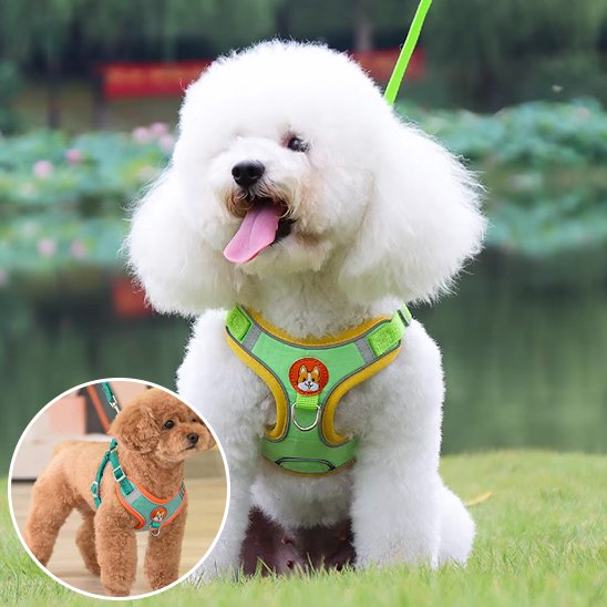 Harnais pour chien vert jaune
