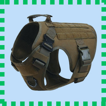 harnais pour chien vert
