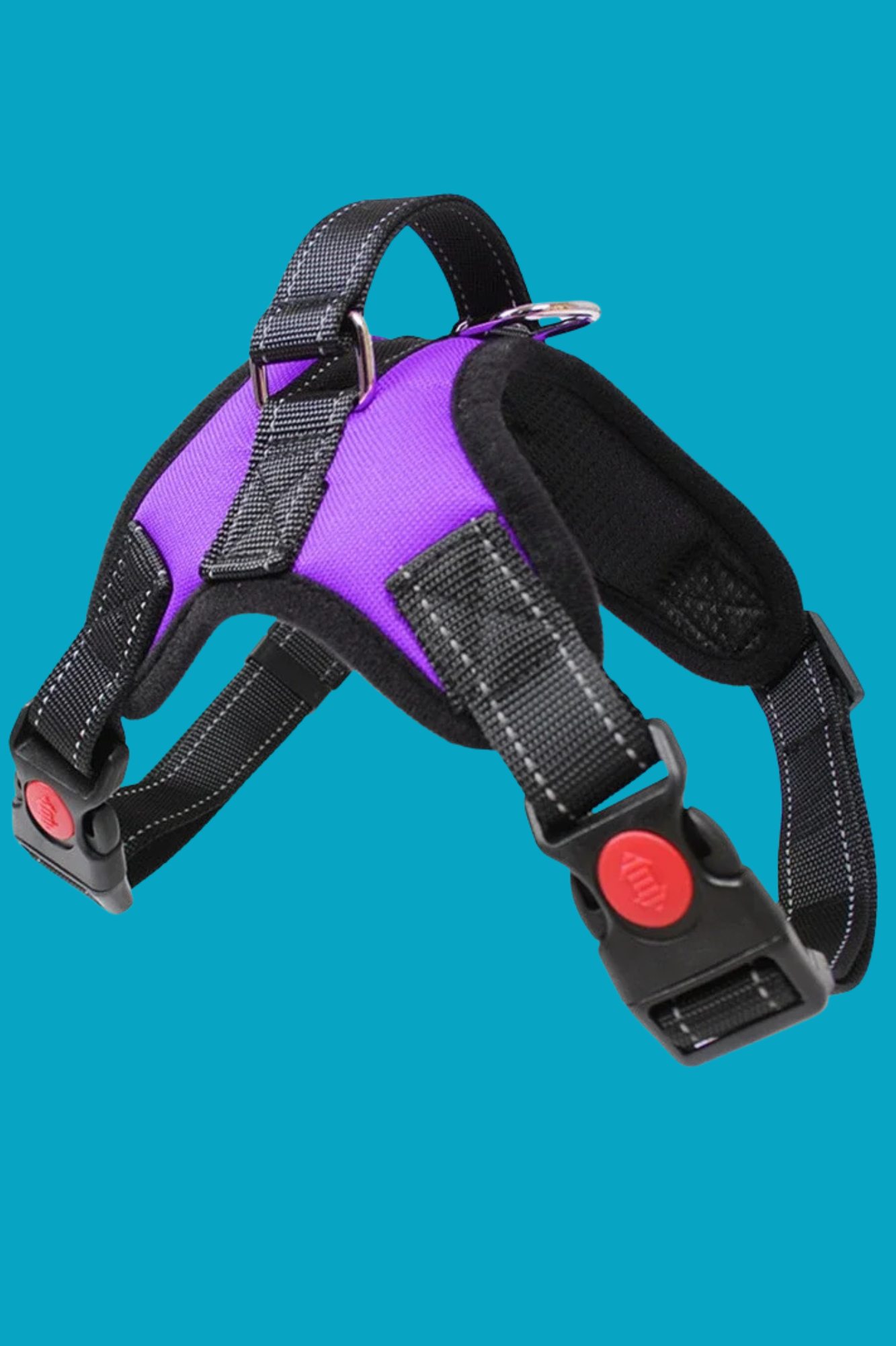 harnais pour mauve chien