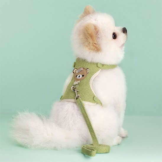 Harnais pour petit chien vert