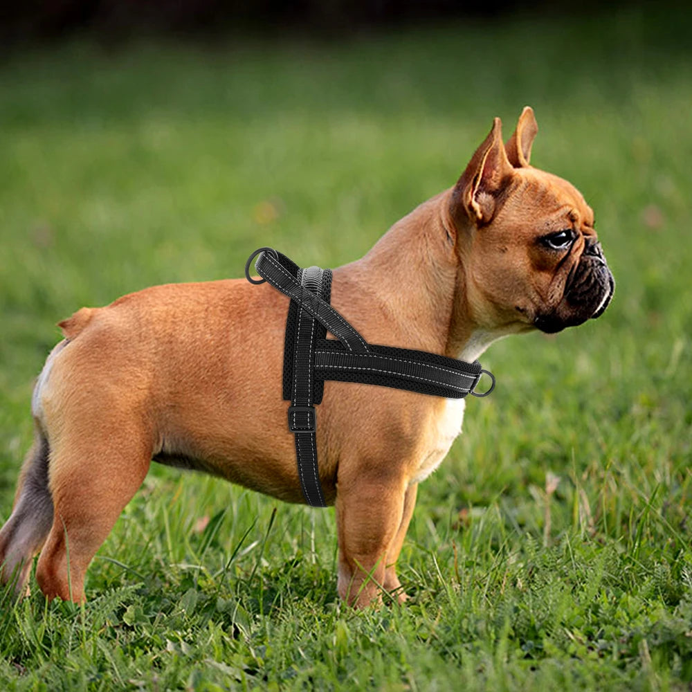 herbe harnais chien anti traction