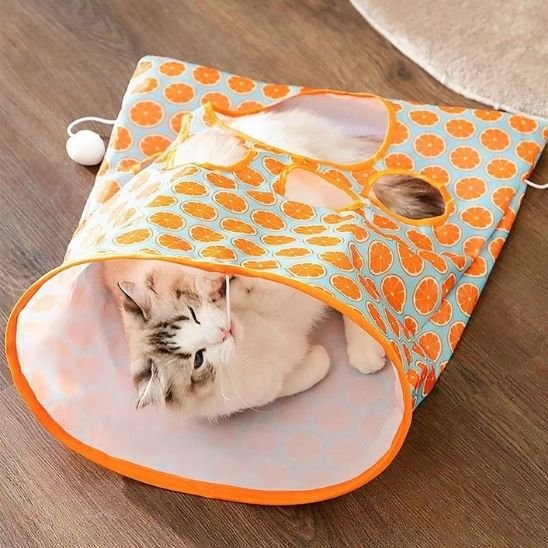 heureux tunnel chat